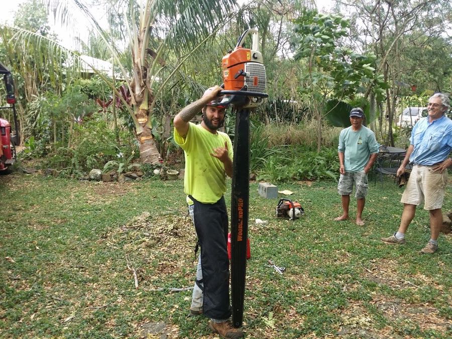 Chainsaw operator